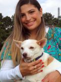 PET SITTER